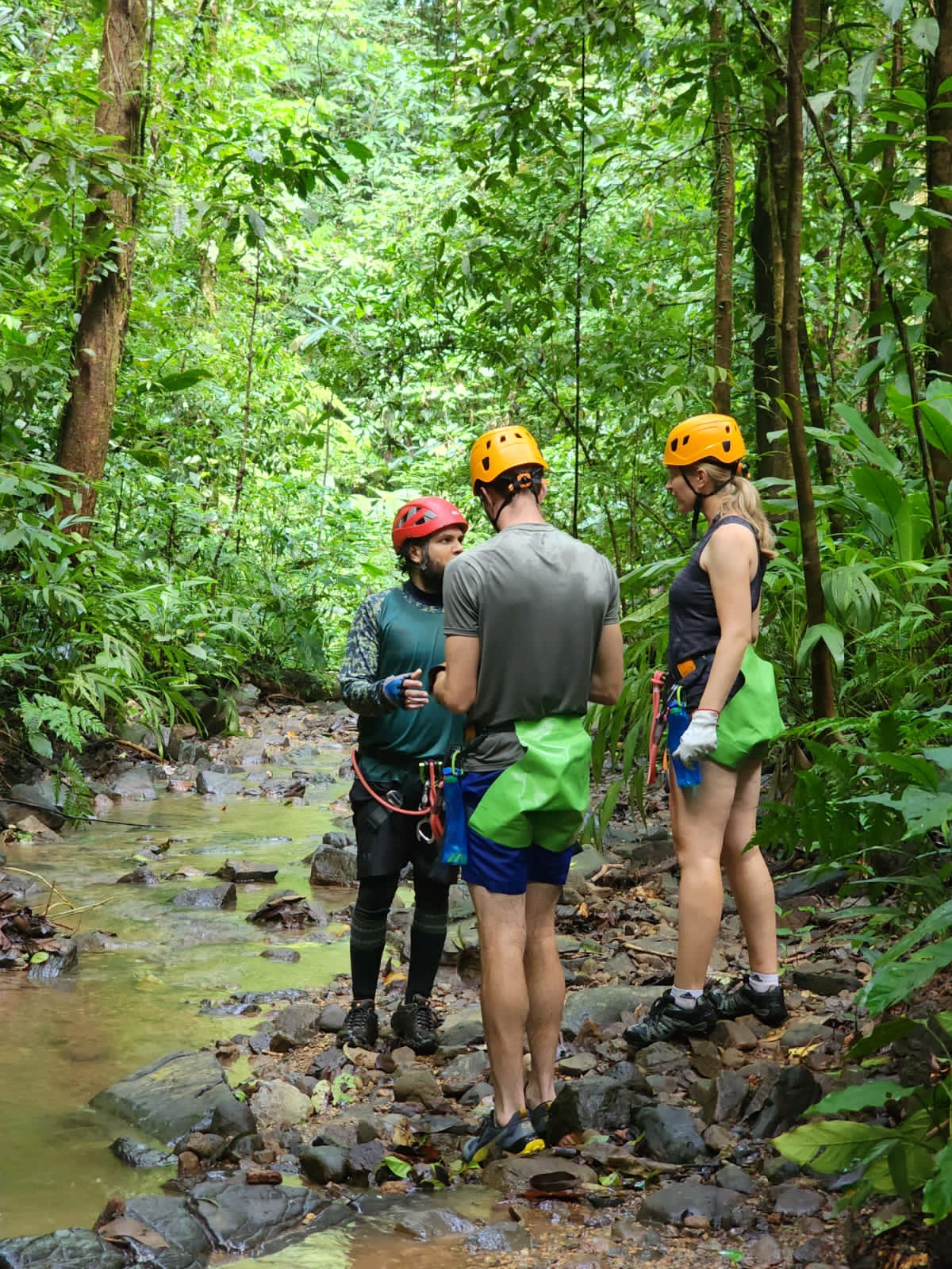 Rappelling vs. Canyoning What’s the Difference? Osa Canyoning Adventures